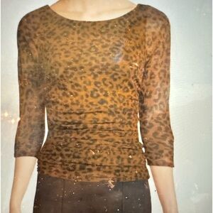 Did rushed mesh 3/4 sleeve leopard print blouse